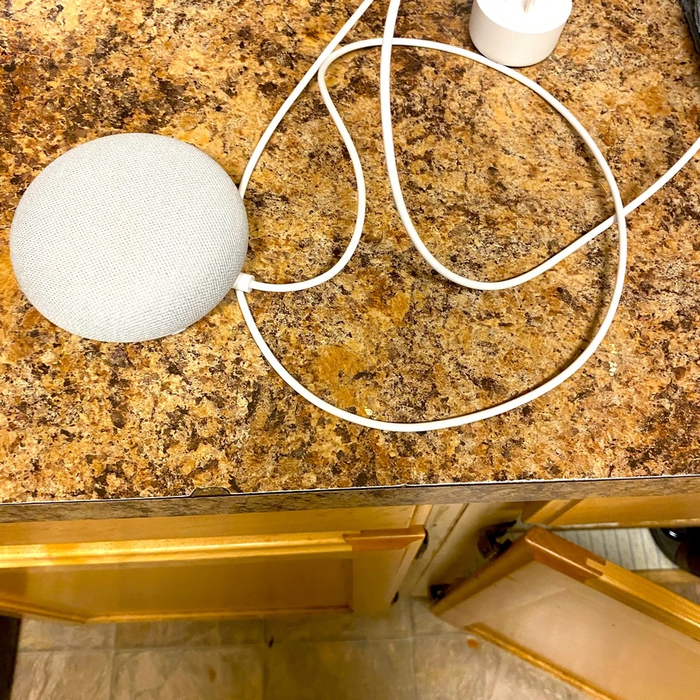 Google home speaker brand new